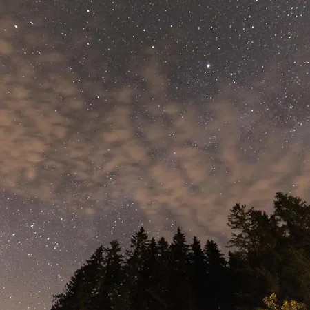 Σαλέ Heselehof Waldchalets *