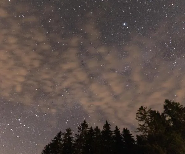 Alpesi faház Heselehof Waldchalets *